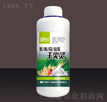 �[����²˸ɼ��`-嫘�