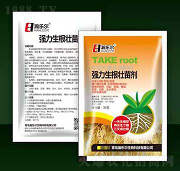 30�ˏ����������焩-