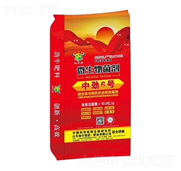 ΢�������-�Є�6̖-��ţ