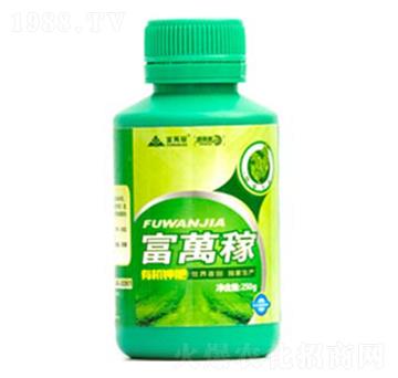 ���݌����~���-���f(w��n)�