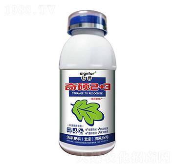 �~�懊ʩ��(zhu��n)��-��T2+3-���A����