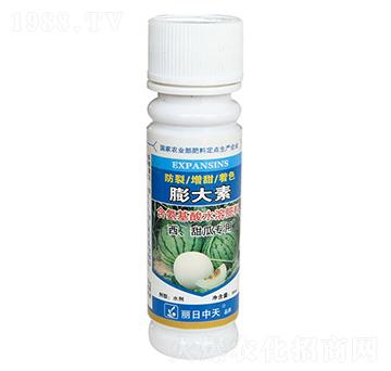 ��������ό���-���������-����ʘI(y��)