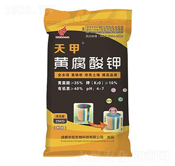 ����S�����-�A��