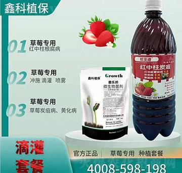 ΢�������-�t����̿��-�ο�ֲ��