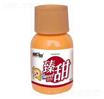 ����������-�������