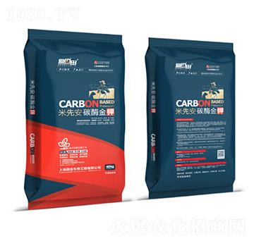 ���Ȱ�̼ø���-�������