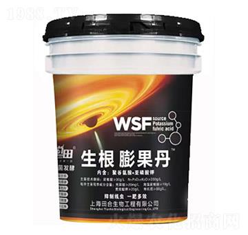 ���������-�������