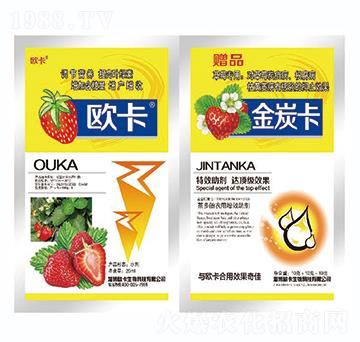 ��̿��-�W������