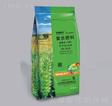 �����ϳ������ͺϷ���26-16-6-�͵����r(n��ng)-��������