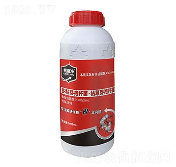 ������-�۟o��