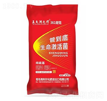 ���������-�ܵ���-������