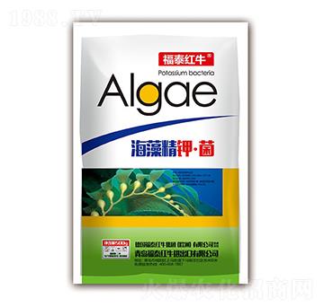 ���徫⛡���-��̩�tţ