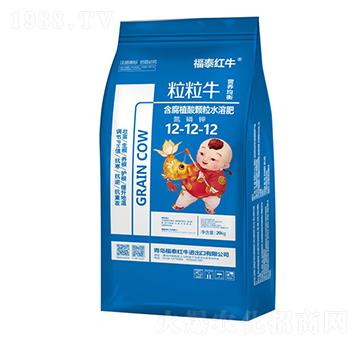 ����ţ����ֳ���w��ˮ�ܷ�12-12-12-��̩�tţ