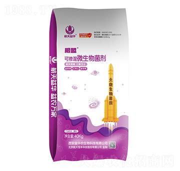 �ɓ���΢�������-����-���A����