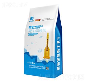 ΢�������-����-���A����