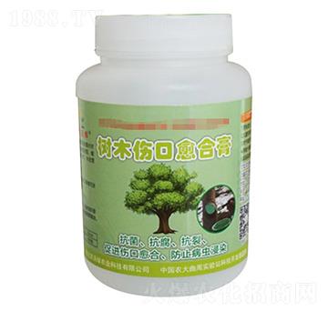 ��ľ�������ϸ�-�r�־G�r�I(y��)