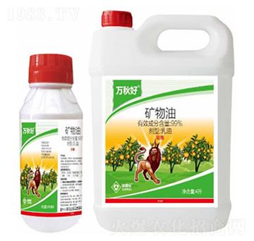 �V��������-�f���-���՘�