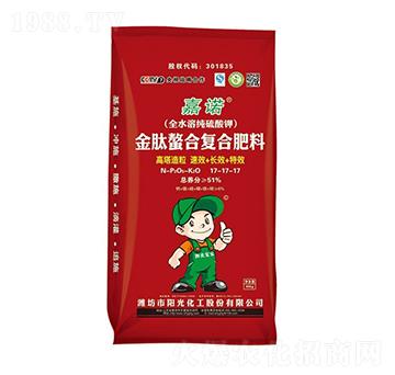 �������Ϗ�(f��)�Ϸ���17-