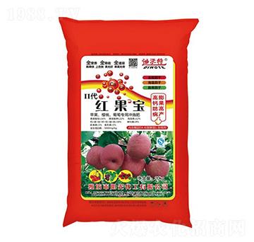 �t�������-������-�(y��ng)