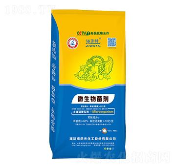 ΢���������10�|���