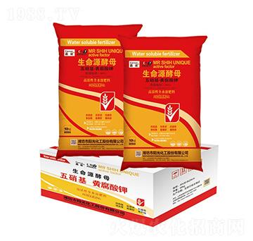 10kg����Դ��ĸ-��