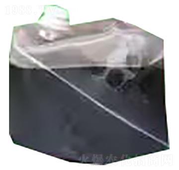 ����-�ѹ�Ӣ