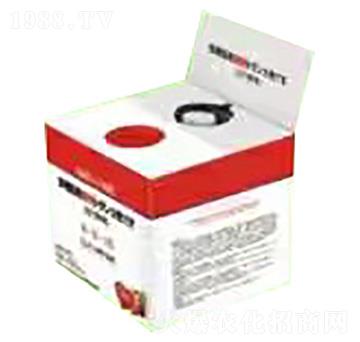 ����-�ѹ�Ӣ