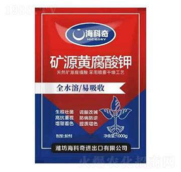 �VԴ�S�����-������