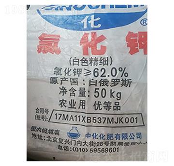 ���_˹��⛣���ɫ����(x��)��-¡���r(n��ng)�Y