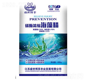 碳酶濃縮海藻精-盛世博菲-中德益農(nóng)