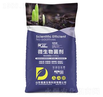 ΢�������-���W