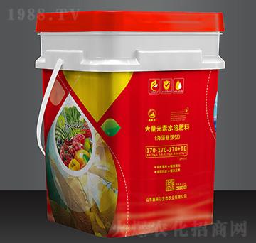 ����Ҹ��ʹ���Ԫ��ˮ�ܷ���170-170-170+TE-���R��