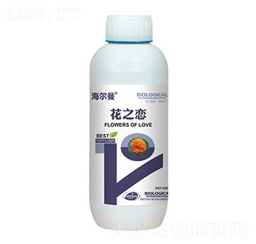 ����������֮��-����˹