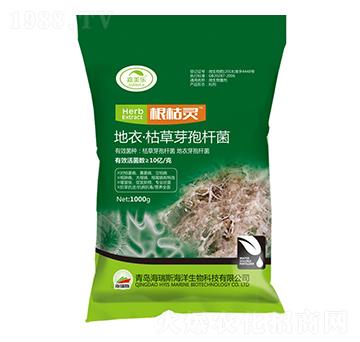 ���¡��ݲ�ѿ�ߗU��-�����`-������-����˹