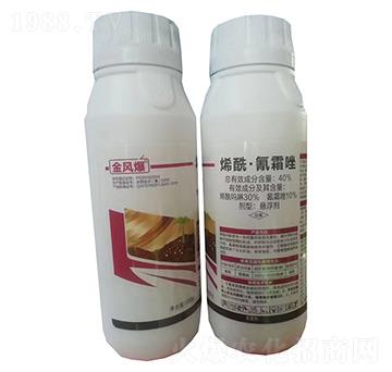 40%ϩ������˪��Ҹ���500g-���L(f��ng)��-�G������