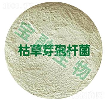 �ݲ�ѿ�ߗU��-��������