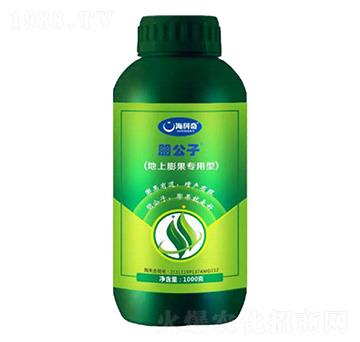 ������������ʹ���Ԫ��ˮ�ܷ���-����-������