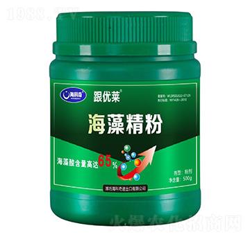 ���徫��-����(y��u)�R-������