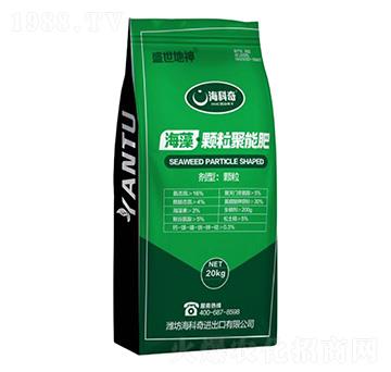 �����w�����ܷ�-������