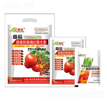 ����Ě���������t�����