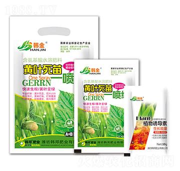 �S�~����һ���G-�n��-