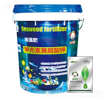 �ך����S����⛺����-