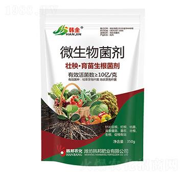 ������������΢�������