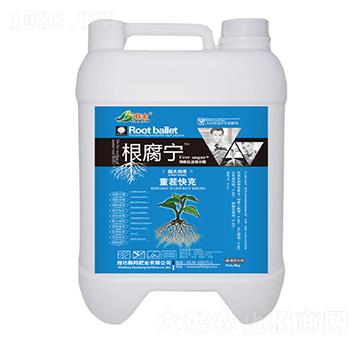 �ز���-������-�n��