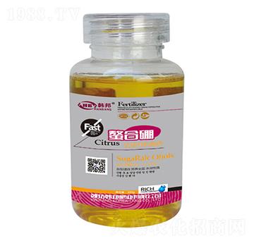 ��(y��u)�|(zh��)�ЙC(j��)���-������-