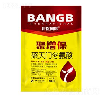 �����T������-������-����H