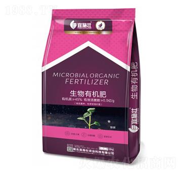 �����ЙC�ʣ��۠-��ʩ��