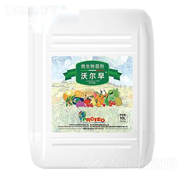 �֠���-���_�ٚW