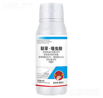 37%(li��n)�������x���Ҹ���80g-���r��(chu��ng)�����Ԫ-���r��