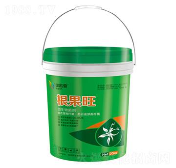 ������΢�������-�G����